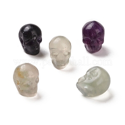 Perles de fluorite naturelles, Halloween crâne, 11~11.5x8.5~9x11~11.5mm, Trou: 0.9~1mm