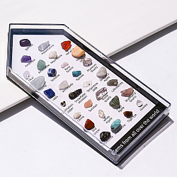 31 styles de pépites brutes brutes, collections de pierres précieuses naturelles mélangées, pour l'enseignement des sciences de la terre, avec boîte en verre, case: 150x70 mm, pierre: 7~10 mm