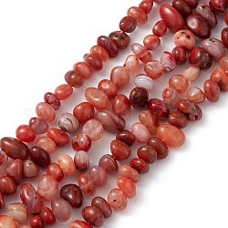 Fili di perline di pepite di agata rossa tinte naturali, 6~8.5x8~15.5x6~8.5mm, Foro: 1 mm, circa 57~60pcs/filo, 15.75~16.14'' (40~41 cm)
