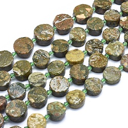 Chapelets de perles en jaspe de rhyolite naturelle, plat rond, 12~19x2~7mm, Trou: 1.5mm, Environ 20~26 pcs/chapelet, 15.35 pouce ~ 15.7 pouces (39~40 cm)