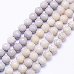 Natur Malachit Perlen Stränge, Runde, 8 mm, Bohrung: 1 mm, ca. 47 Stk. / Strang, 15.55 Zoll