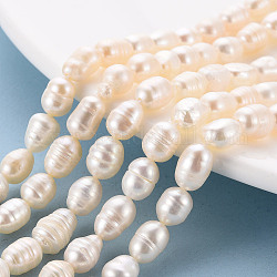 Fili di perle di perle d'acqua dolce coltivate naturali, riso, colore conchiglia, 7~9x6~7mm, Foro: 0.5 mm, circa 22~23pcs/filo, 7.09'' (18 cm)