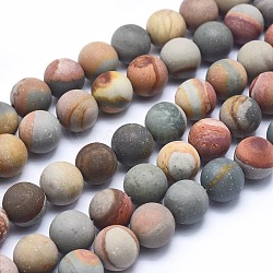 Amérique naturelle image jasper perles brins, mat, ronde, 10mm, Trou: 1mm, Environ 40 pcs/chapelet, 15.7 pouce (40 cm)