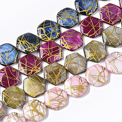 Drawbench Freshwater Shell Beads Strands, Dyed, Hexagon, Mixed Color, 18~20x17.5~18.5x3.5~5.5mm, Hole: 1mm, about 21pcs/Strand, 15.16 inch~15.98 inch