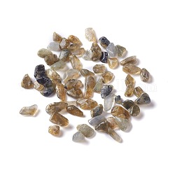 Perles de puce de labradorite naturelle, pas de trous / non percés, 2~12x2~10x1~3mm, environ 11200 pcs/1000 g