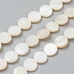 Perles de coquillages naturels d'eau douce, plat rond, 10x3~6mm, Trou: 0.5mm, Environ 39 pcs/chapelet, 15.16 pouce (38.5 cm)