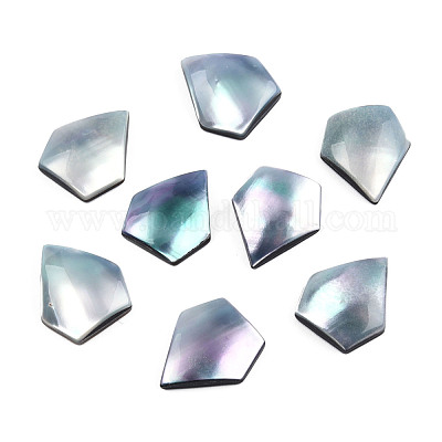 Натуральный турбокорнулус/кабошоны из ракушек SSHEL-N003-155A-1