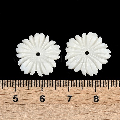 Природные подвески оболочки пресноводных SHEL-K006-43-1