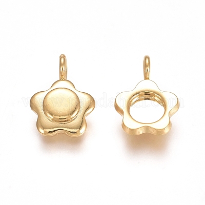 Оправы для подвесок из нержавеющей стали 304 в виде кабошонов STAS-F222-019G-1