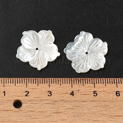 Натуральные белые бусины из ракушек SHEL-M021-08C-1