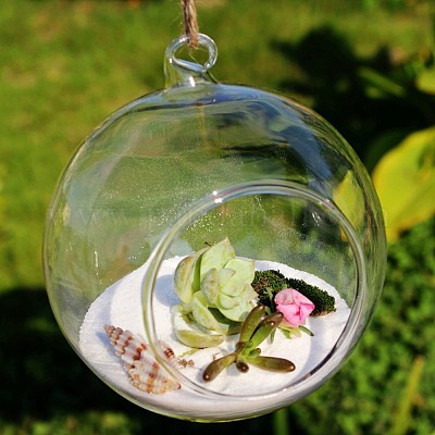 8cm Clear Hanging Glass Flowers Plant Vase Home Decorate Terrarium Container #%