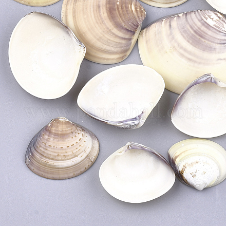 Clam shell perles SSHEL-S258-50-1