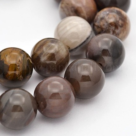 Natürliche versteinertes Holz runden Perlen Stränge G-P101-01-14mm-1