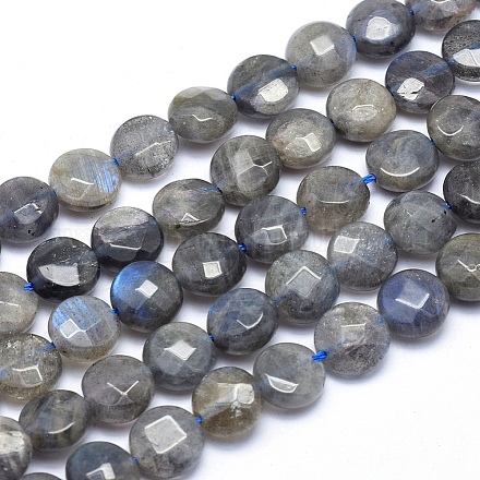 Chapelets de perles en labradorite naturelle  G-K223-63A-1
