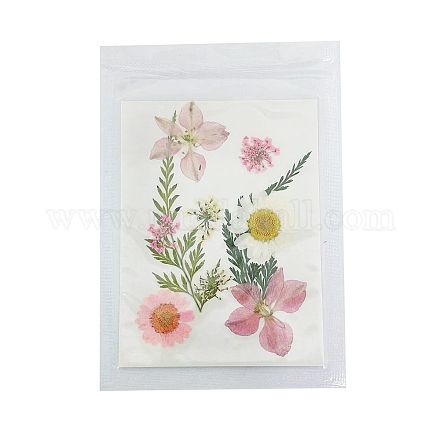 Прессованные сушеные цветы DIY-B070-01C-1