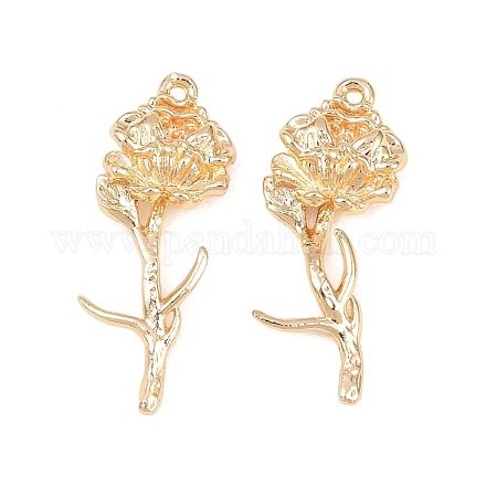 Латунные подвески&nbsp;KK-A288-01G-09-1