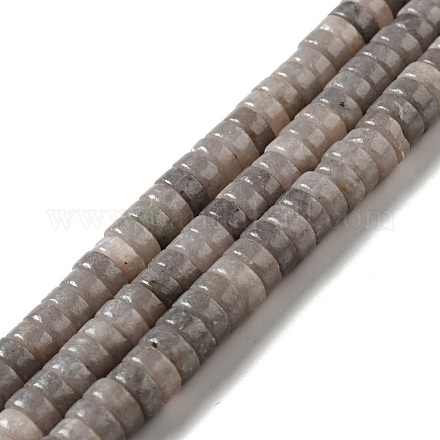 Natural Mica Stone Beads Strands G-C245-04-1