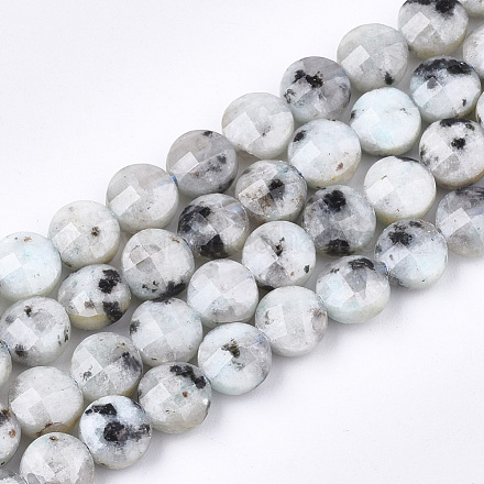 Natürliche Sesam Jaspis / Kiwi Jaspis Perlen Stränge G-T108-49-1