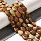 Natural Picture Jasper Beads Strands, Teardrop, 13.5~14x10~10.5x5mm, Hole: 1mm, about 27~28pcs/strand, 37.3~38.3cm