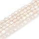 Нити из натурального культивированного пресноводного жемчуга PEAR-P064-20D-01A-2
