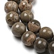 Natural Map Stone/Picasso Stone Beads Strands G-R494-A24-02-3
