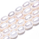 Natural Cultured Freshwater Pearl Beads Strands PEAR-N012-06Q-4