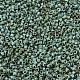 MIYUKI Delica Beads SEED-J020-DB2264-2