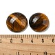 Природных тигровый глаз кабошонов G-C115-02A-36-3
