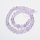 Natural Amethyst Round Bead Strands G-L411-21-10mm-2