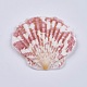 Beautiful Beach Sea Shells DIY-WH0044-01-2