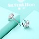 Exquisite 925 Sterling Silver Cubic Zirconia Stud Earrings EJEW-BB20086-6