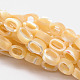 Chapelets de perles ovales en coquillage naturel SSHEL-M018-6x4mm-02-1