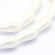 Chapelets de perles de coquille BSHE-P024-06-3