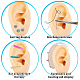 OLYCRAFT Right Ear Displays Model Silicone Ear Model Rubber Ear Silicone Flexible Ear Model with Acrylic Display Stands for Teaching Tools Jewelry Display Earrings Professional Piercings Practice EDIS-WH0021-14A-7