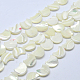 Shell normal de perles blanches de brins SSHEL-12X11-3