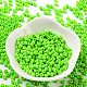 Baking Paint Glass Seed Beads SEED-H002-I-B509-2