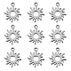 304 Stainless Steel Charms STAS-CJC0008-17P-1