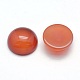 Natural Carnelian Cabochons G-P393-R18-10mm-2