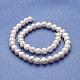Natural Cultured Freshwater Pearl Beads Strands PEAR-P060-19-01-2