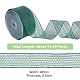 SuperZubehör grünes Polyester-Netzband DIY-WH0292-83A-2