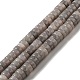 Natural Mica Stone Beads Strands G-C245-04-1