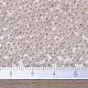 Perles rocailles miyuki rondes SEED-X0054-RR2352-4