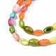 Chapelets de perles en coquille d'eau douce  SHEL-T009-B15-06-3