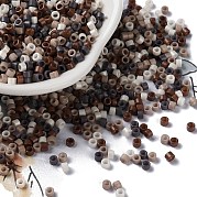 Выпечка краска стеклянные бусины SEED-S042-05A-16
