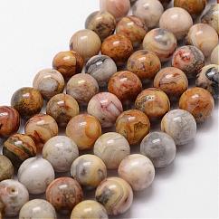 Brins de perles d'agate en dentelle folle naturelle, ronde, 10mm, Trou: 1mm, Environ 40 pcs/chapelet, 15 pouce