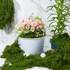 Полиэстер искусственный мох&nbsp;DIY-WH0671-078