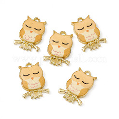Pendentifs en alliage peint&nbsp;LS-PALLOY-P288-01G-03
