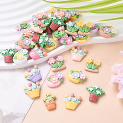 60шт 3 стиля непрозрачные кабошоны из смолы&nbsp;RESI-YW0002-02