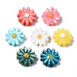 Бусины из натуральных пресноводных ракушек SHEL-N003-20C