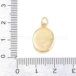 Pendentifs en laiton&nbsp;LS-KK-H273-47G-03